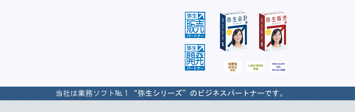 弥生ネットワークの導入