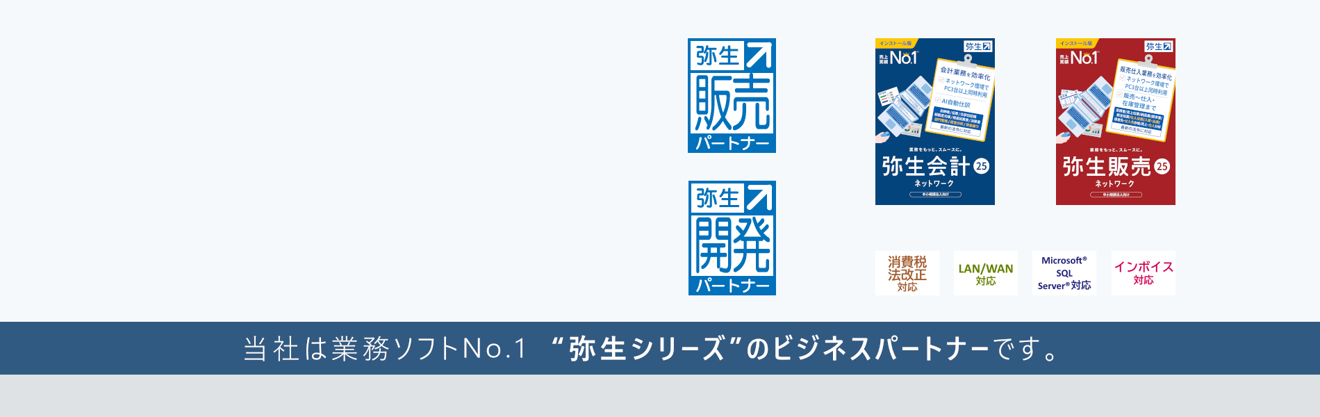 弥生ネットワークの導入