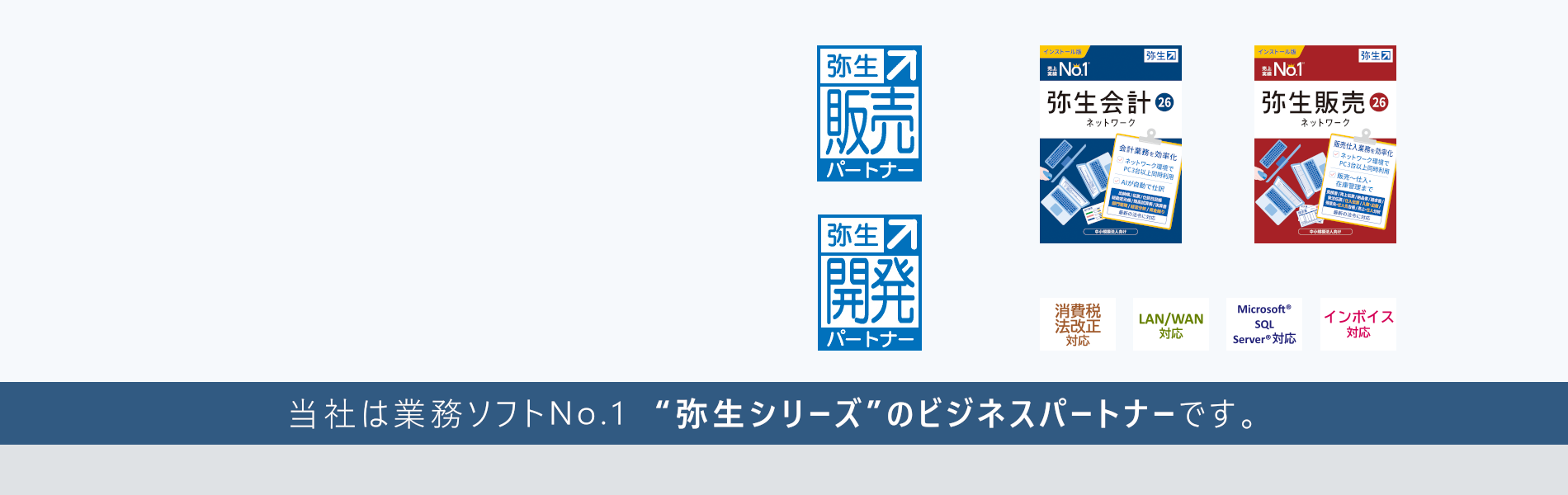 弥生ネットワークの導入