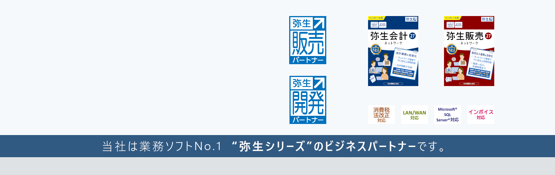 弥生ネットワークの導入